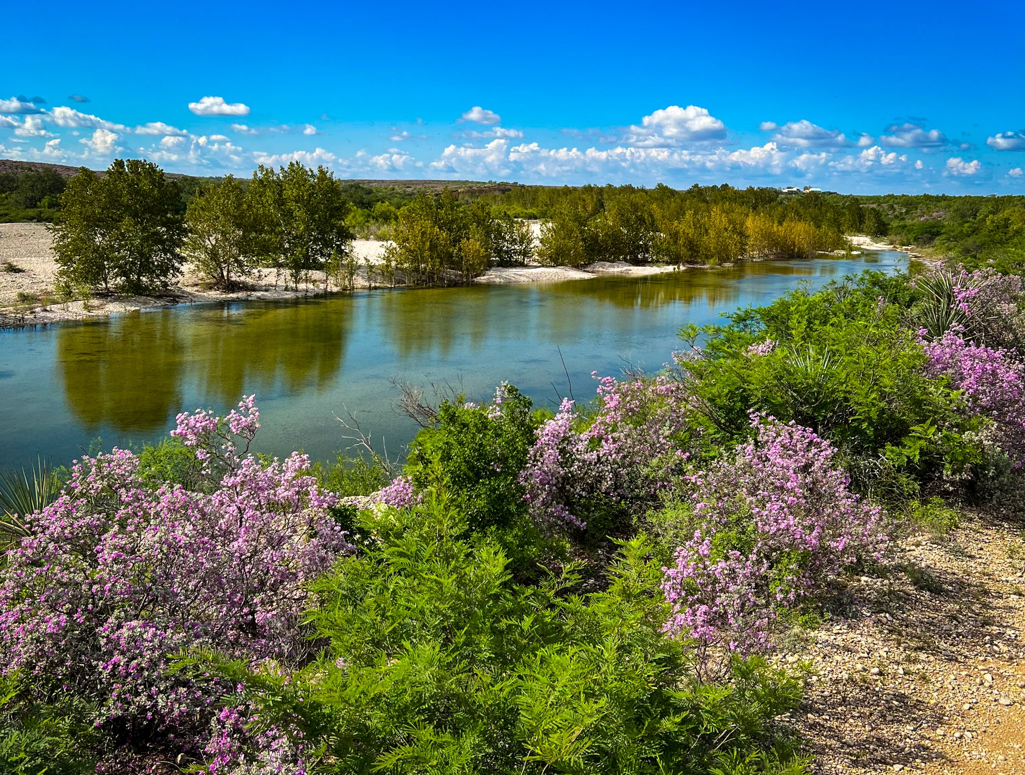 Sycamore Creek Ranch Whitetail and Exotic Hunting Ranch in Del Rio, TX